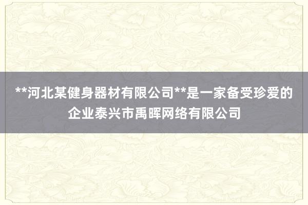 **河北某健身器材有限公司**是一家备受珍爱的企业泰兴市禹晖网络有限公司
