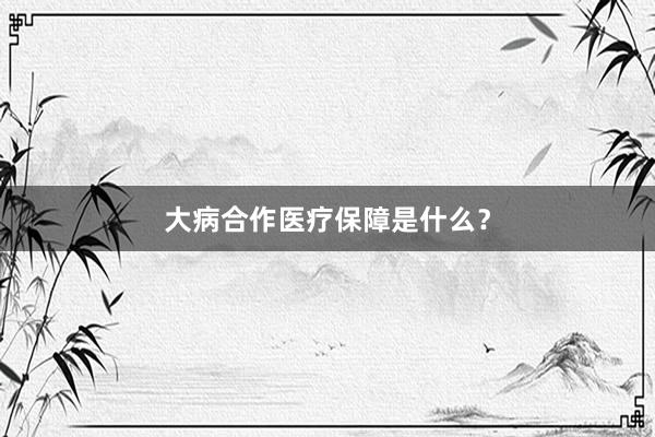大病合作医疗保障是什么？